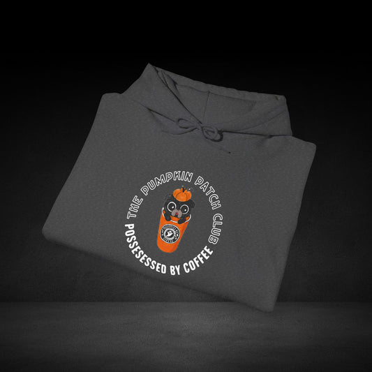A gray hoodie with a circular logo on it, featuring an illustration of a cat wearing a hat and glasses.